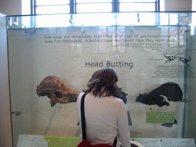 Head Butting
