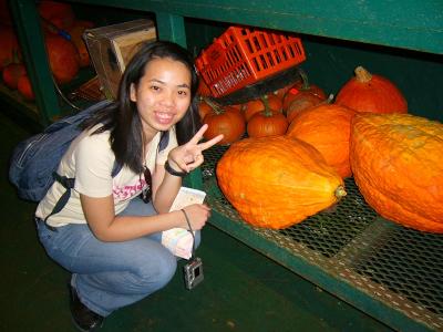 Pumpkin Lady A