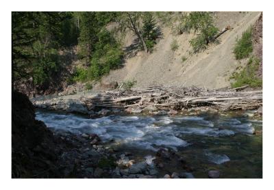 Wigwam River, British Columbia