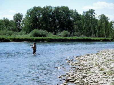 July 3, 2000 --- Bow River, Alberta