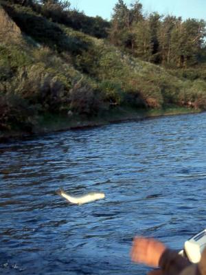 1994 - 2000, scanned from slides