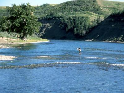 Bow River, Alberta, Canada