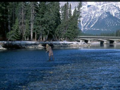 1994 - 2000, scanned from slides