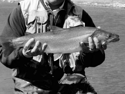 Bull Trout from below Highway 24
