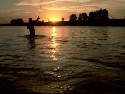 July 11, 2003 --- Bow River, Alberta