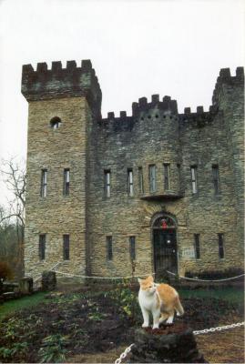 Place Castle in Cincinati and cat