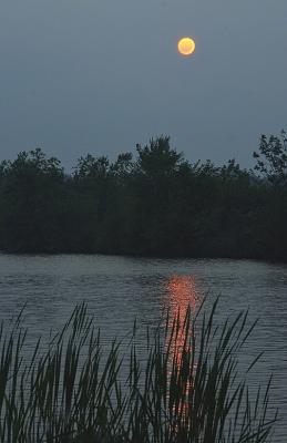 Water Light-Thompson Resevoir