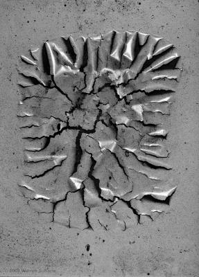 Toasted Oven by Warren Sarle