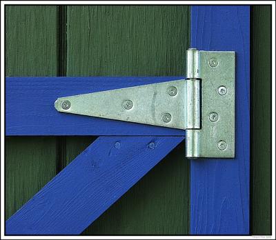 Shed Hinge by David Fink