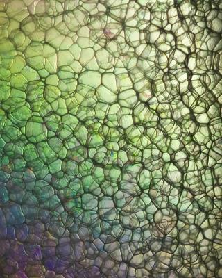Plastic Bubbles by Bob Cody