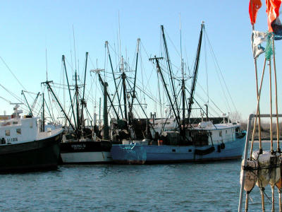 Boats at the dock