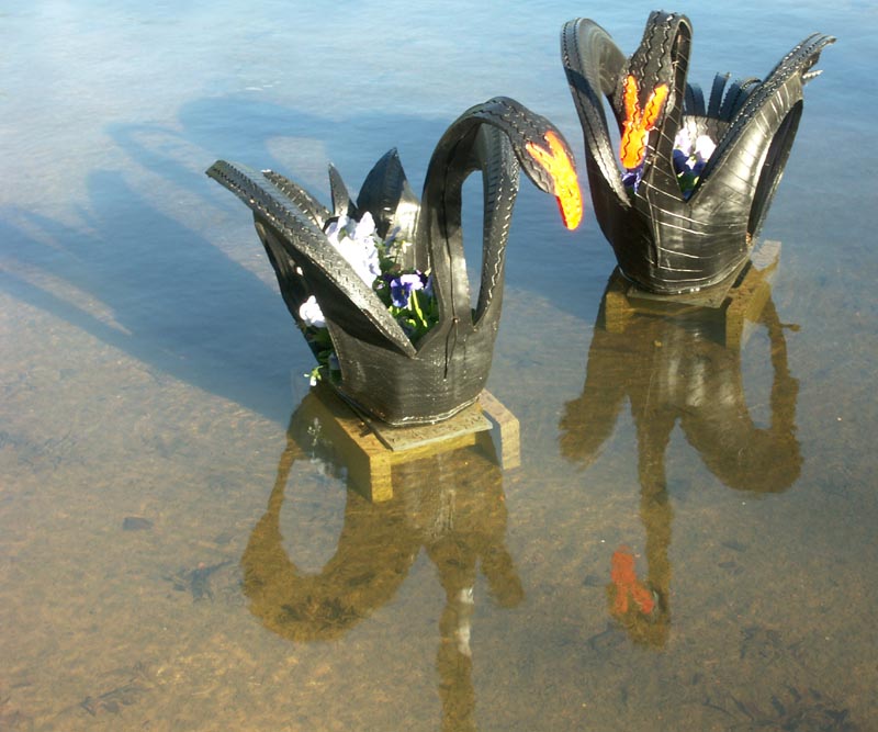 Swan tyres