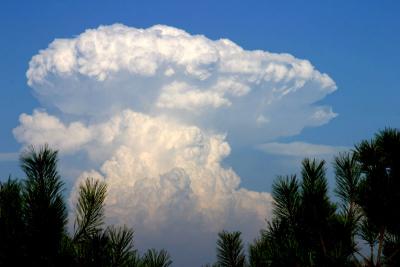 mushroom cloud?