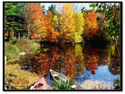 Autumn