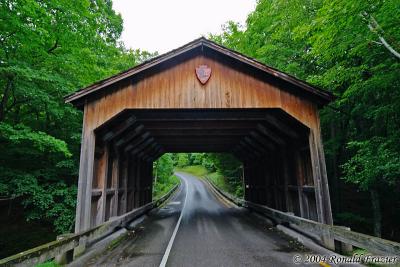 Pierce Stocking Bridge