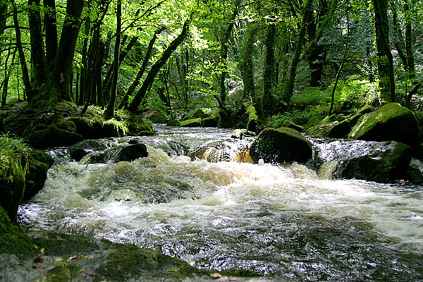 18th August 2004 - enchanted waterfall