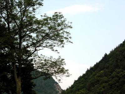 u6/littledog22/medium/12083498.DelawareWaterGap_0220_800x600.jpg