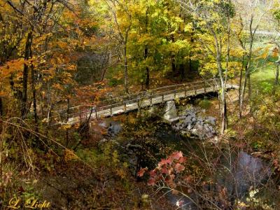 Fall 029a.jpg
