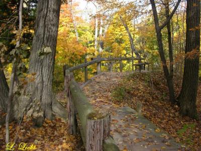 Fall 048a.jpg