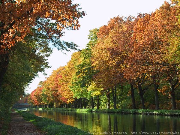 Turnhout Kanaal Dessel - Schoten (24.10.2002)