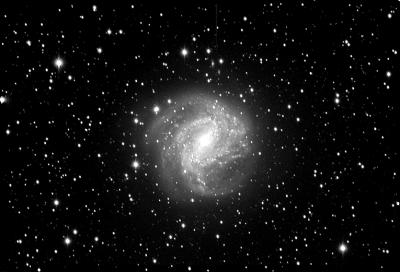 M83