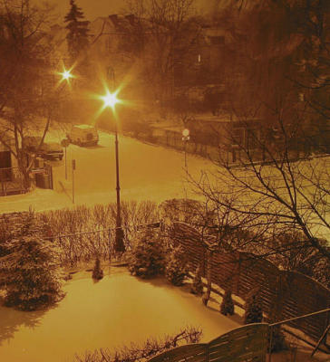 Winter night