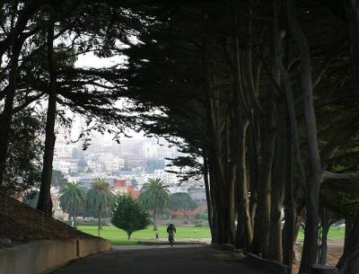 a tunnel of trees with a foggy city on the other end