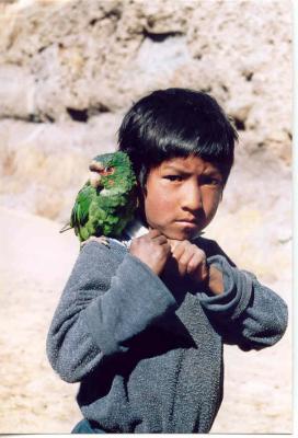 Young Indio and friend at the renewed bridge