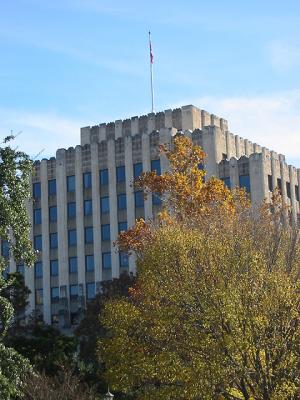 IMG_0373.JPG