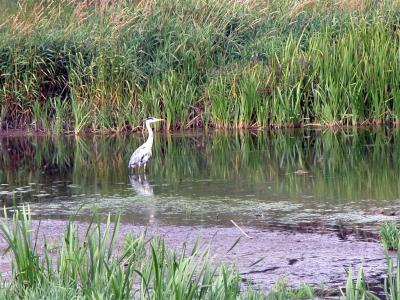 Aug04_Ireland 224_StMargaretsGolf (10).jpg