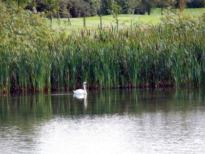 Aug04_Ireland 224_StMargaretsGolf (25).jpg