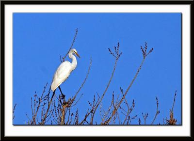 IMG_2458ps{Q}.jpg