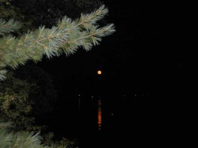 moonlight
