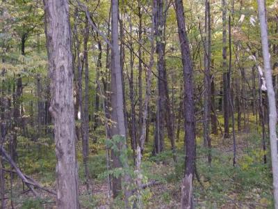 fort benjamin harrison state park