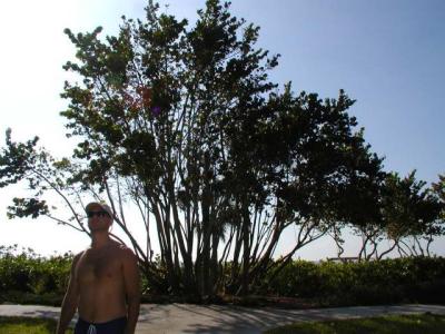 jeff in naples