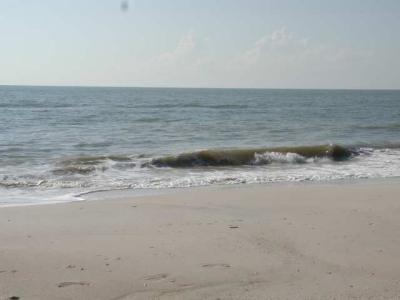 the pretty beach
