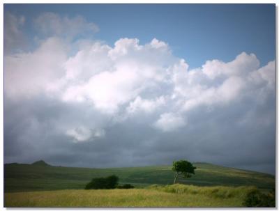 Dartmoor