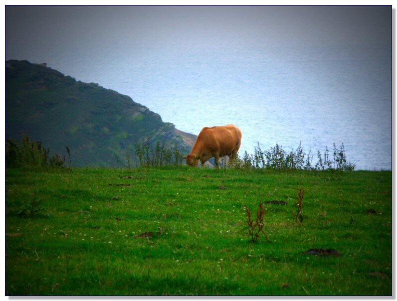 Cornwall landscape