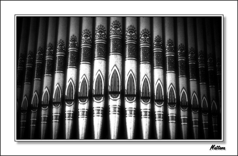 Organ