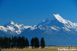 View of Mt. Cook