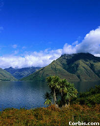 Lake Wakatipu and Mount Hector