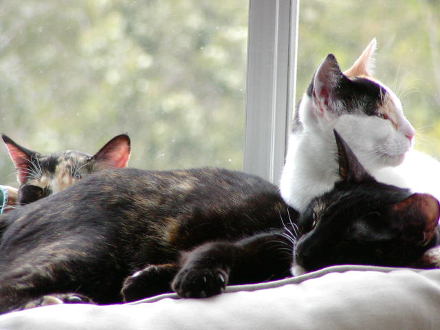 P1010101.JPG