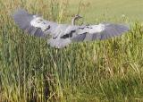 Flaps up