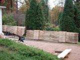DSCN3902.jpg