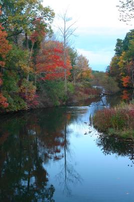 Fall_Color02.jpg
