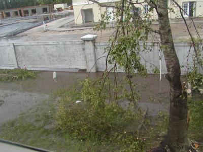 P8151827.JPG