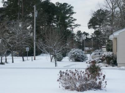 Coastal snow storm Mon. Dec. 20, 2004.  Temp. 19 degrees, chill factor 05.