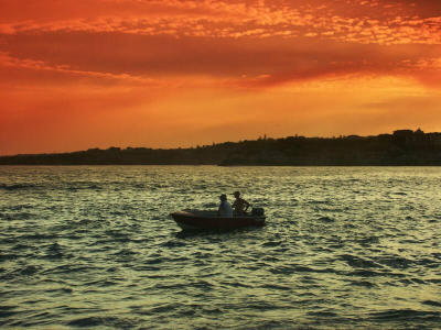 Sunset Boat - Bondi