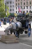 Central Park Carriage