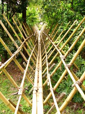 Walkway to a Bidayuh longhouse